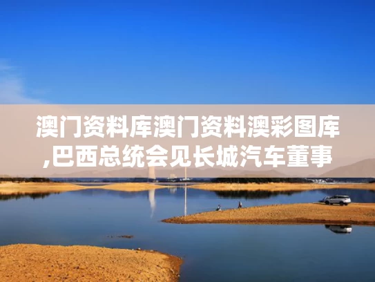 澳门资料库澳门资料澳彩图库,巴西总统会见长城汽车董事长魏建军