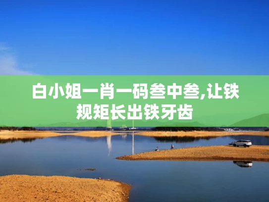 白小姐一肖一码叁中叁,让铁规矩长出铁牙齿