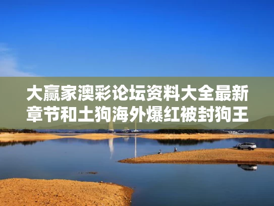 大赢家澳彩论坛资料大全最新章节	和土狗海外爆红被封狗王 有人给写传记与土狗狗王图片