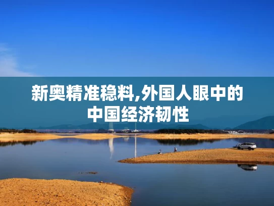 新奥精准稳料,外国人眼中的中国经济韧性