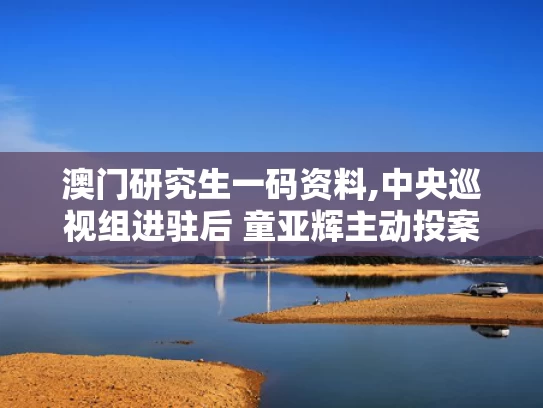 澳门研究生一码资料,中央巡视组进驻后 童亚辉主动投案