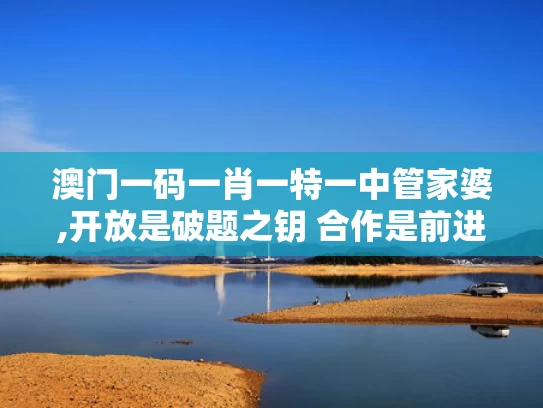 澳门一码一肖一特一中管家婆,开放是破题之钥 合作是前进之道