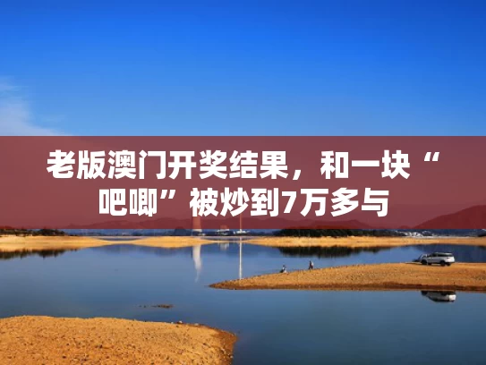 老版澳门开奖结果，和一块“吧唧”被炒到7万多与