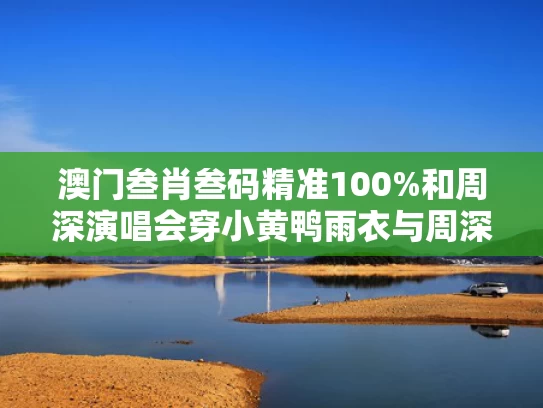澳门叁肖叁码精准100%和周深演唱会穿小黄鸭雨衣与周深演唱会穿小黄鸭雨衣的是谁