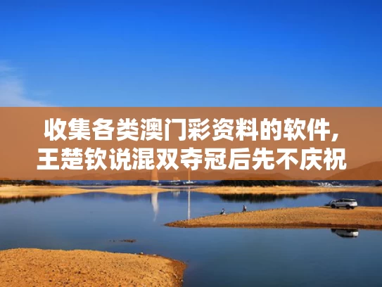 收集各类澳门彩资料的软件,王楚钦说混双夺冠后先不庆祝