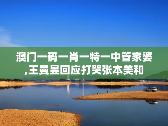 澳门一码一肖一特一中管家婆,王曼昱回应打哭张本美和