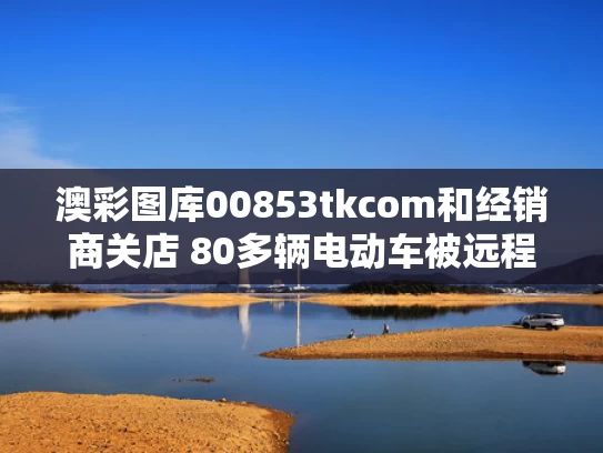 澳彩图库00853tkcom	和经销商关店 80多辆电动车被远程锁死与电瓶车被远程锁住怎么办