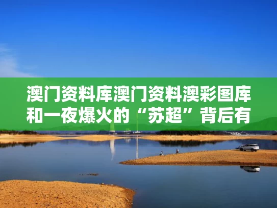 澳门资料库澳门资料澳彩图库和一夜爆火的“苏超”背后有高人与