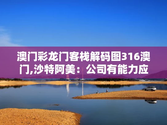 澳门彩龙门客栈解码图316澳门,沙特阿美：公司有能力应对低油价