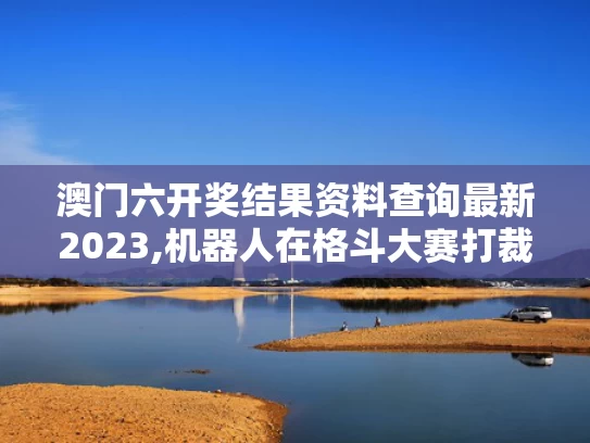 澳门六开奖结果资料查询最新2023,机器人在格斗大赛打裁判