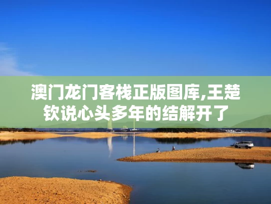 澳门龙门客栈正版图库,王楚钦说心头多年的结解开了
