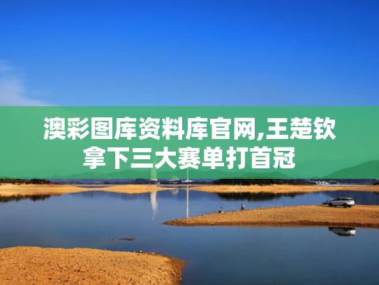 澳彩图库资料库官网,王楚钦拿下三大赛单打首冠