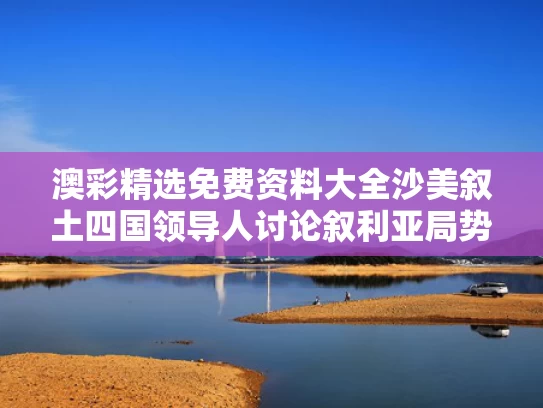 澳彩精选免费资料大全	沙美叙土四国领导人讨论叙利亚局势