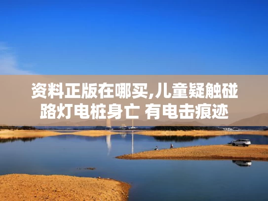 资料正版在哪买,儿童疑触碰路灯电桩身亡 有电击痕迹