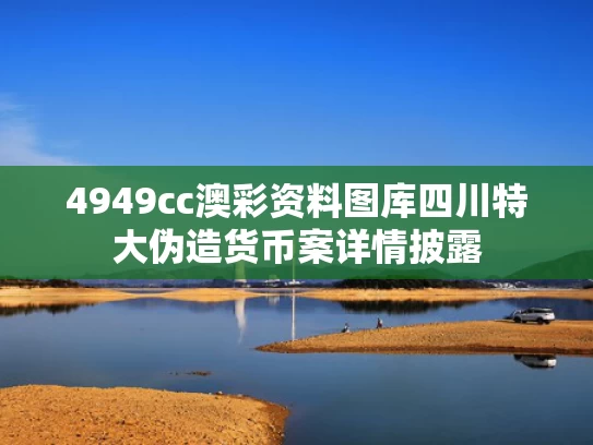 4949cc澳彩资料图库	四川特大伪造货币案详情披露