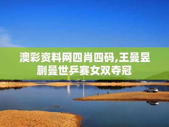 澳彩资料网四肖四码,王曼昱蒯曼世乒赛女双夺冠