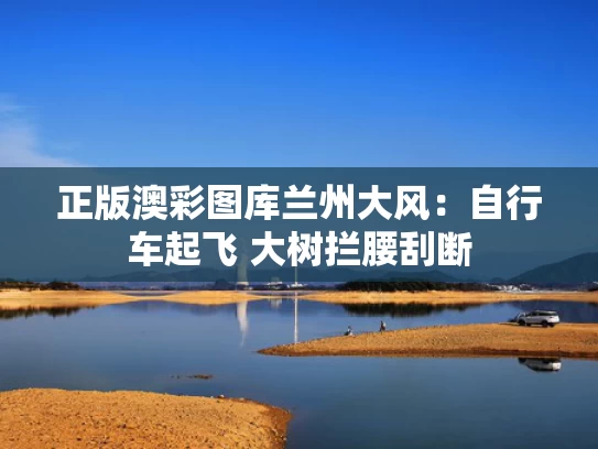 正版澳彩图库	兰州大风：自行车起飞 大树拦腰刮断
