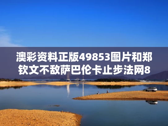 澳彩资料正版49853图片	和郑钦文不敌萨巴伦卡止步法网8强与