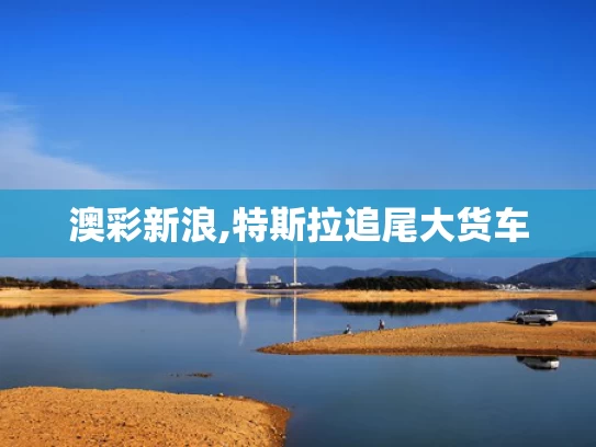 澳彩新浪,特斯拉追尾大货车