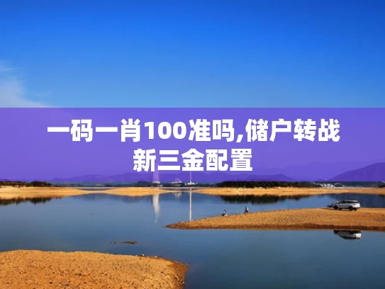 一码一肖100准吗,储户转战新三金配置