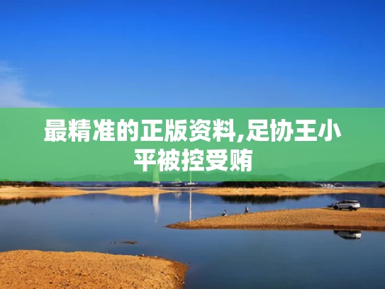 最精准的正版资料,足协王小平被控受贿