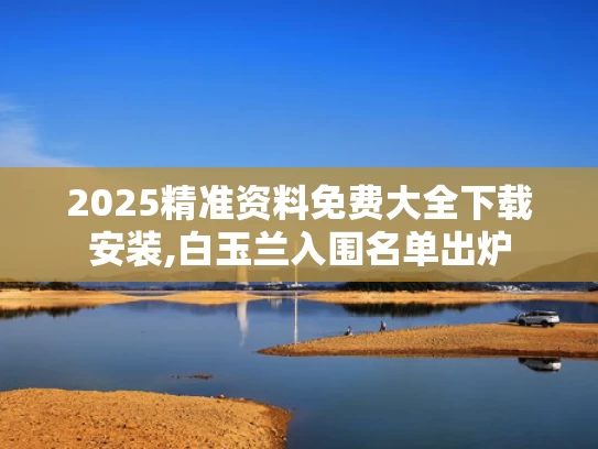 2025精准资料免费大全下载安装,白玉兰入围名单出炉