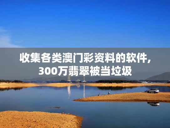 收集各类澳门彩资料的软件,300万翡翠被当垃圾