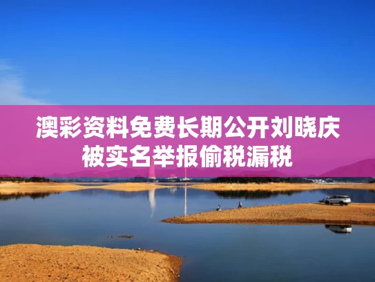 澳彩资料免费长期公开	刘晓庆被实名举报偷税漏税