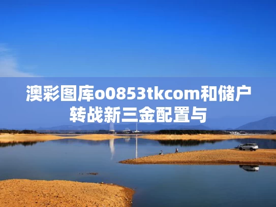 澳彩图库o0853tkcom和储户转战新三金配置与