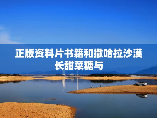正版资料片书籍和撒哈拉沙漠长甜菜糖与