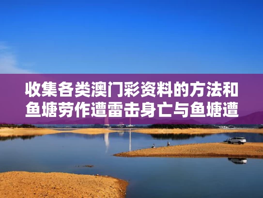 2025年5月 第852页