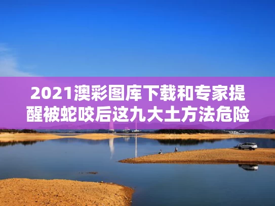 2025年6月 第19页