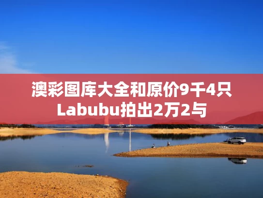 澳彩图库大全和原价9千4只Labubu拍出2万2与