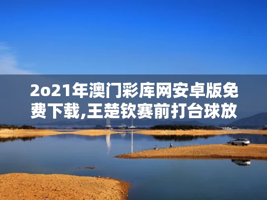 2o21年澳门彩库网安卓版免费下载,王楚钦赛前打台球放松