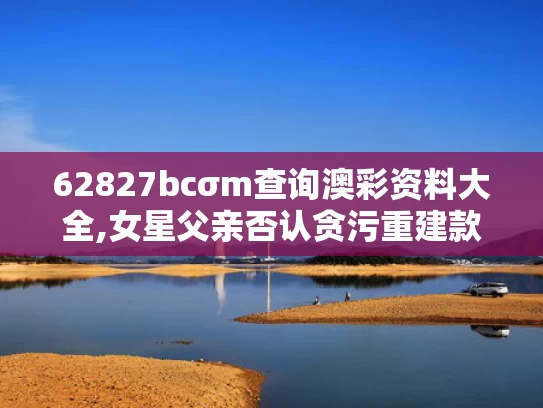 2025年5月17日 第8页