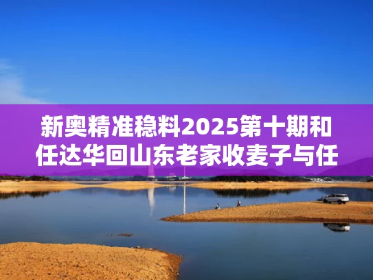 新奥精准稳料2025第十期和任达华回山东老家收麦子与任达华专访视频