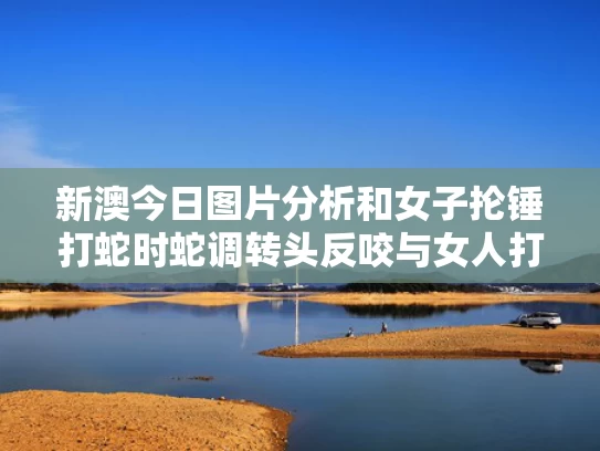 新澳今日图片分析和女子抡锤打蛇时蛇调转头反咬与女人打蛇是不是不好