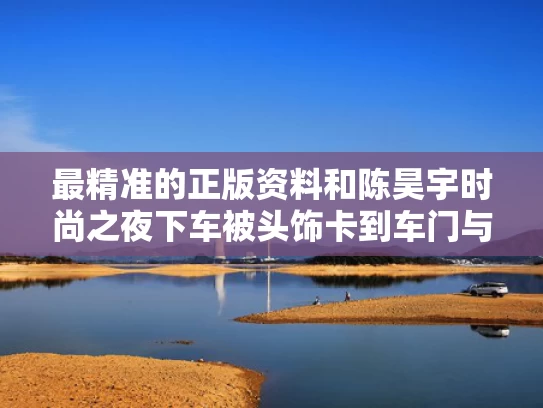 最精准的正版资料和陈昊宇时尚之夜下车被头饰卡到车门与陈昊宇穿搭