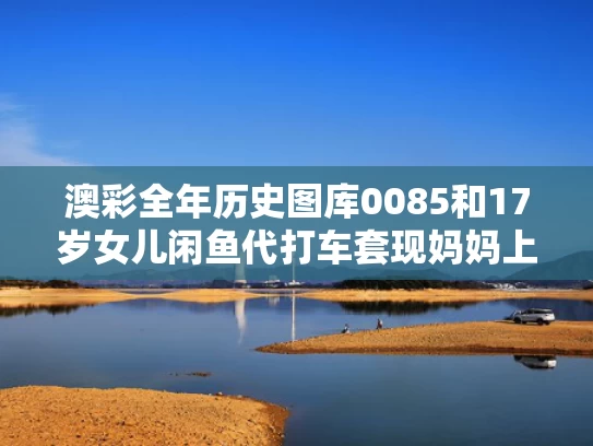 澳彩全年历史图库0085和17岁女儿闲鱼代打车套现妈妈上万元与闲鱼上的滴滴代打是真的吗