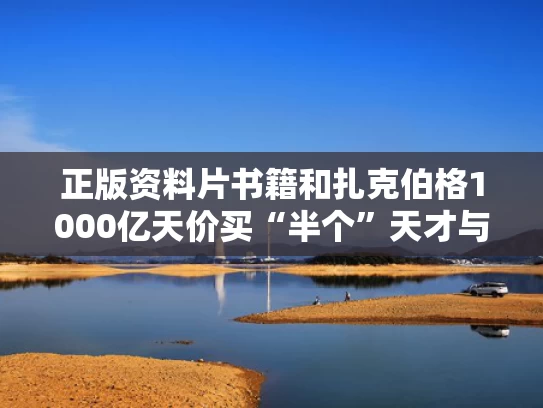 正版资料片书籍和扎克伯格1000亿天价买“半个”天才与