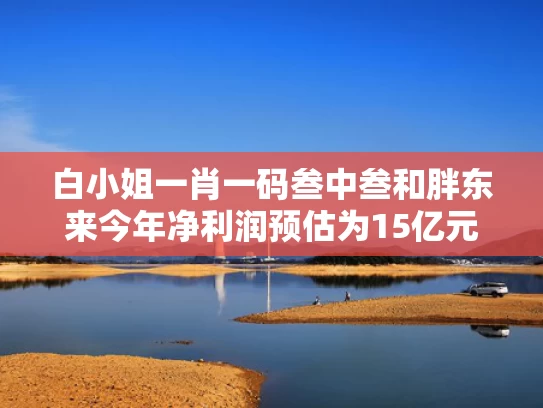白小姐一肖一码叁中叁和胖东来今年净利润预估为15亿元与胖东来2020年净利润