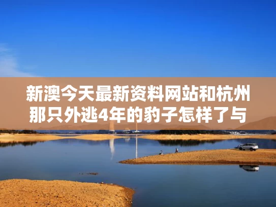 新澳今天最新资料网站和杭州那只外逃4年的豹子怎样了与杭州那只外逃4年的豹子怎样了啊