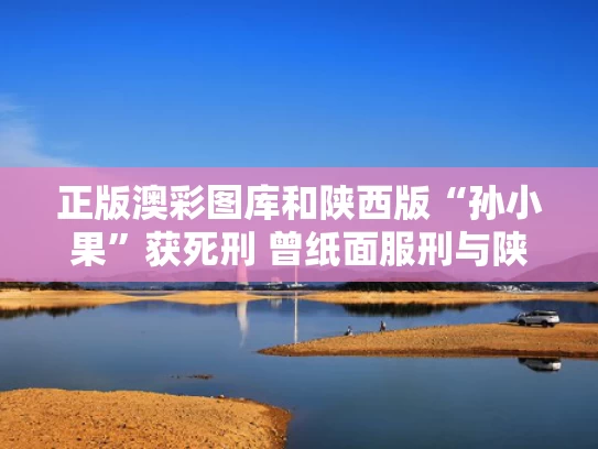 正版澳彩图库	和陕西版“孙小果”获死刑 曾纸面服刑与陕西又现孙小果