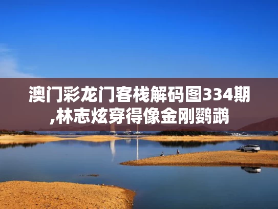 澳门彩龙门客栈解码图334期,林志炫穿得像金刚鹦鹉