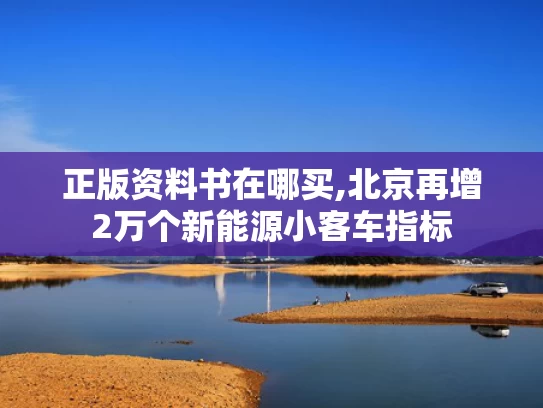 正版资料书在哪买,北京再增2万个新能源小客车指标