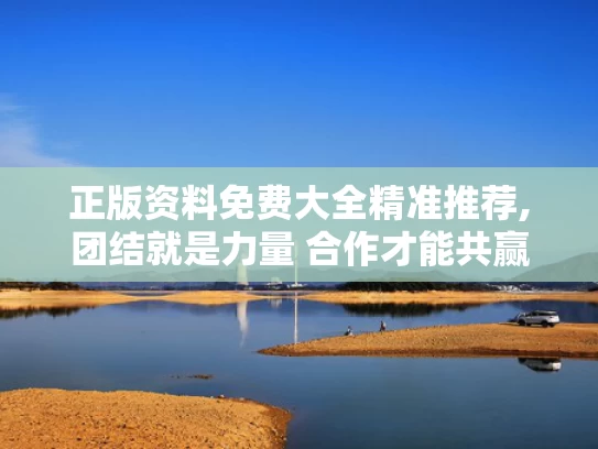 正版资料免费大全精准推荐,团结就是力量 合作才能共赢