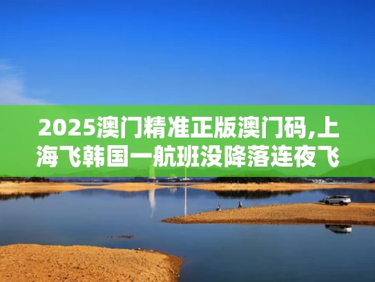 2025澳门精准正版澳门码,上海飞韩国一航班没降落连夜飞回国