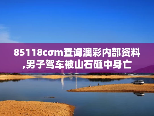 85118cσm查询澳彩内部资料,男子驾车被山石砸中身亡