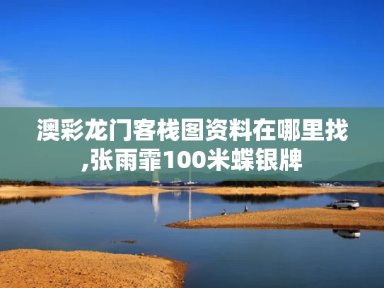 澳彩龙门客栈图资料在哪里找,张雨霏100米蝶银牌