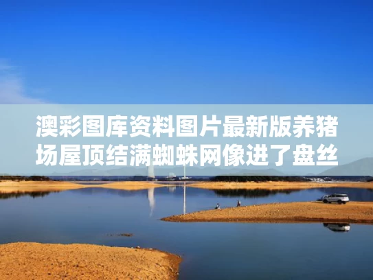 2025年5月18日